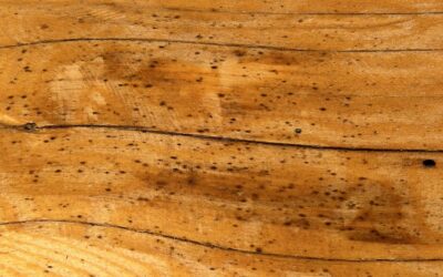 How do I remove linseed oil from my log home?