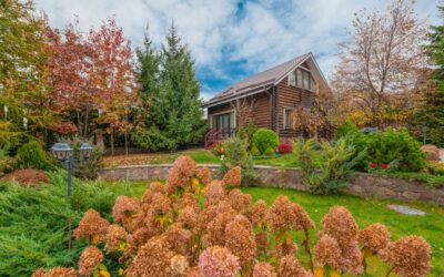 Log Home Landscaping: Smart Strategies to Protect & Enhance Your Cabin