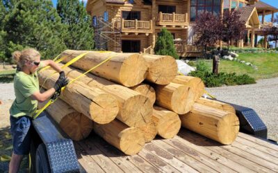 Career & Professional Expectations of Log Masters