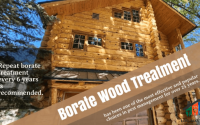 Advantages of Borate on Bare Wood Surfaces