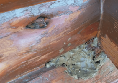 Log Masters Restorations Log Rot Done Wrong