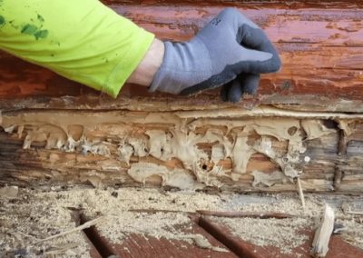 Don't Call Just Any Guy! Call a Log Master to do it right!