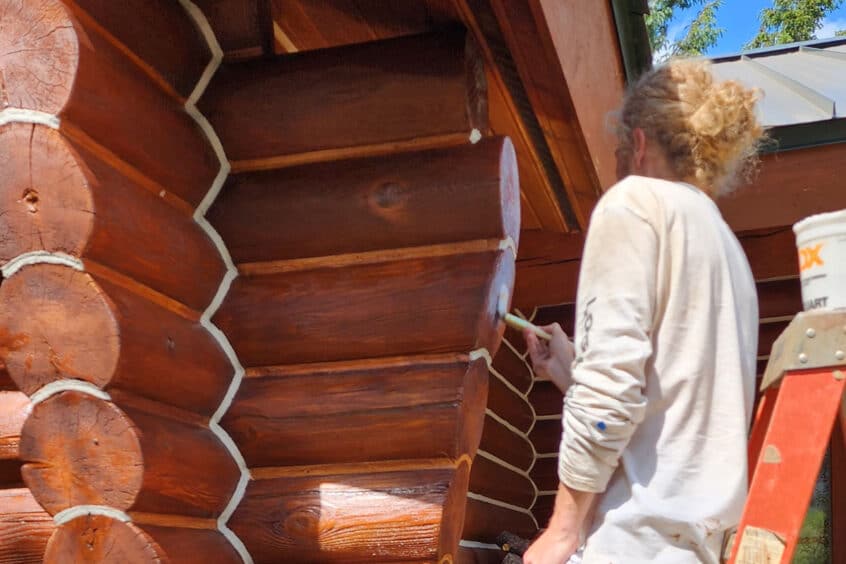 What Types of Wood Should You Use for Log Homes?