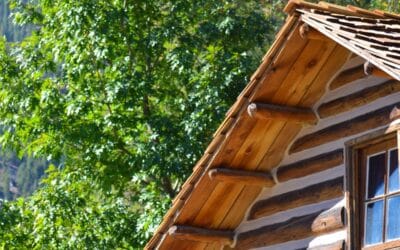 How to Avoid Common Log Cabin Restoration Mistakes: Expert Guide