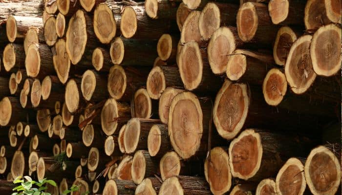 Cedar Logs Ready to Build a Cabin