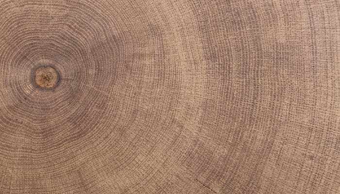 Oak Logs for Building a Log Cabin or Log Home