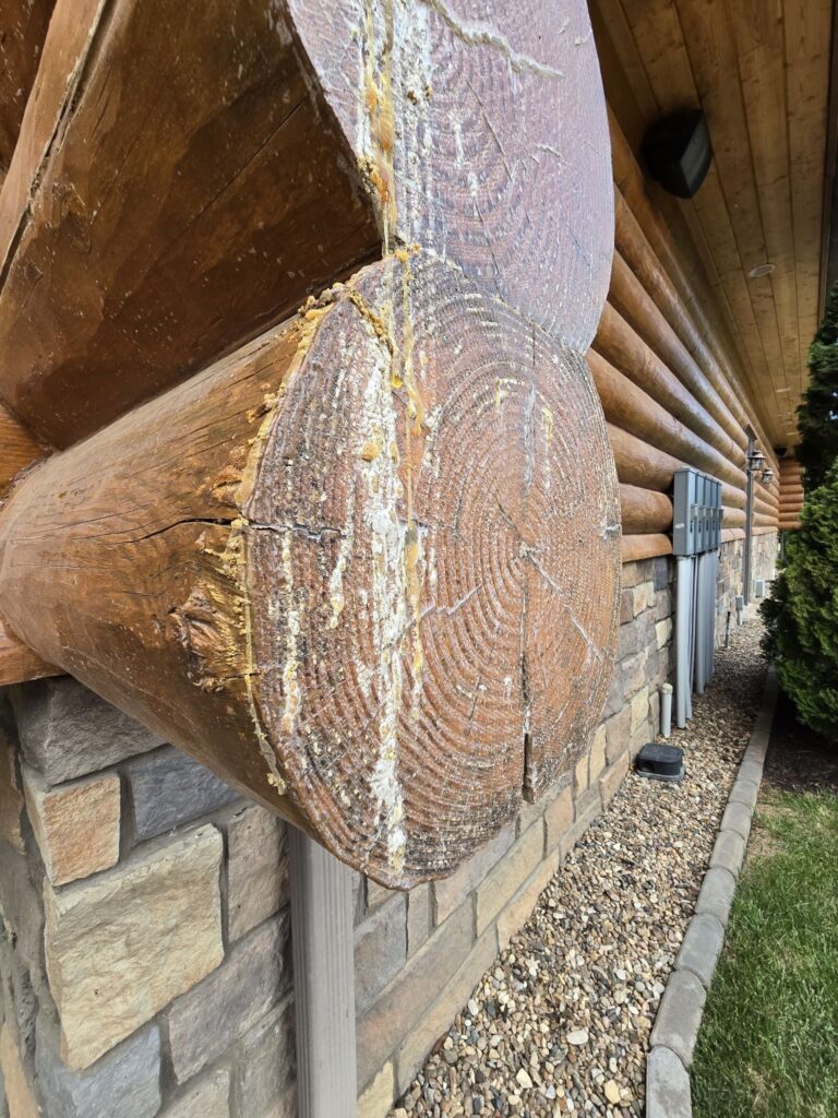 Damage to cabin logs caused by UV exposure breaking down stain