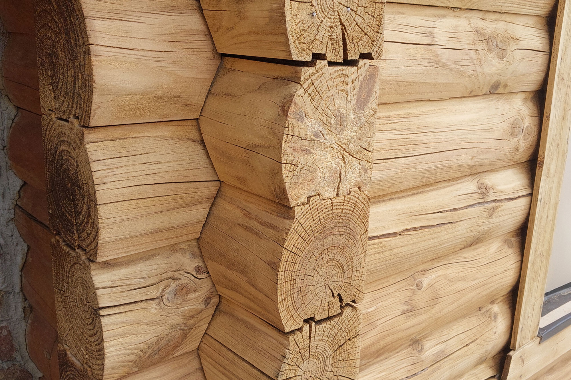 The image is a close up of tan chink lines on a round log cabin.