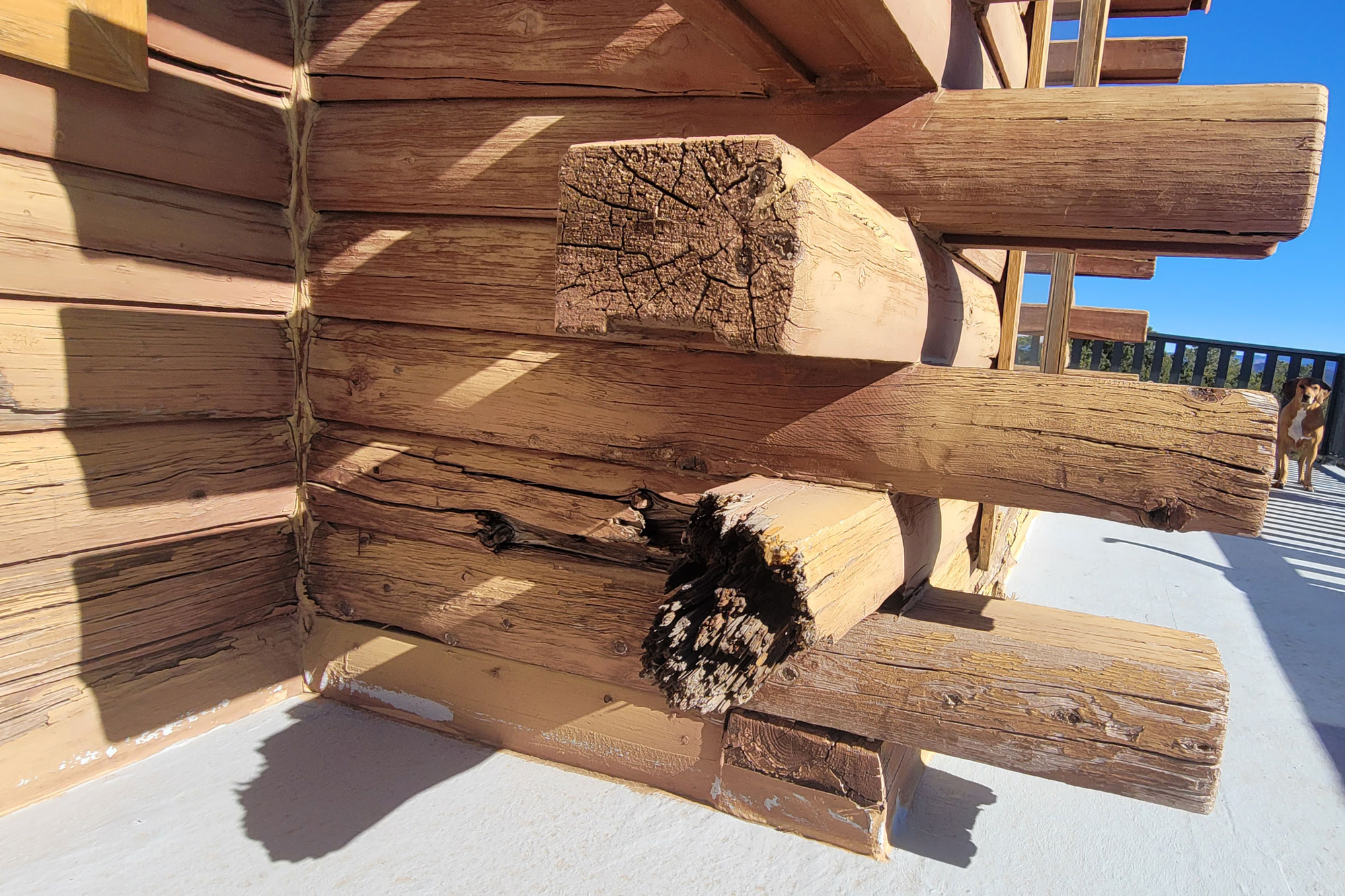 Log Masters Restorations Front After Pop Out Before