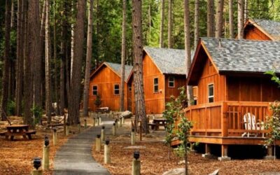 The Real Cost of Deferred Maintenance on a Log Cabin Rental Property
