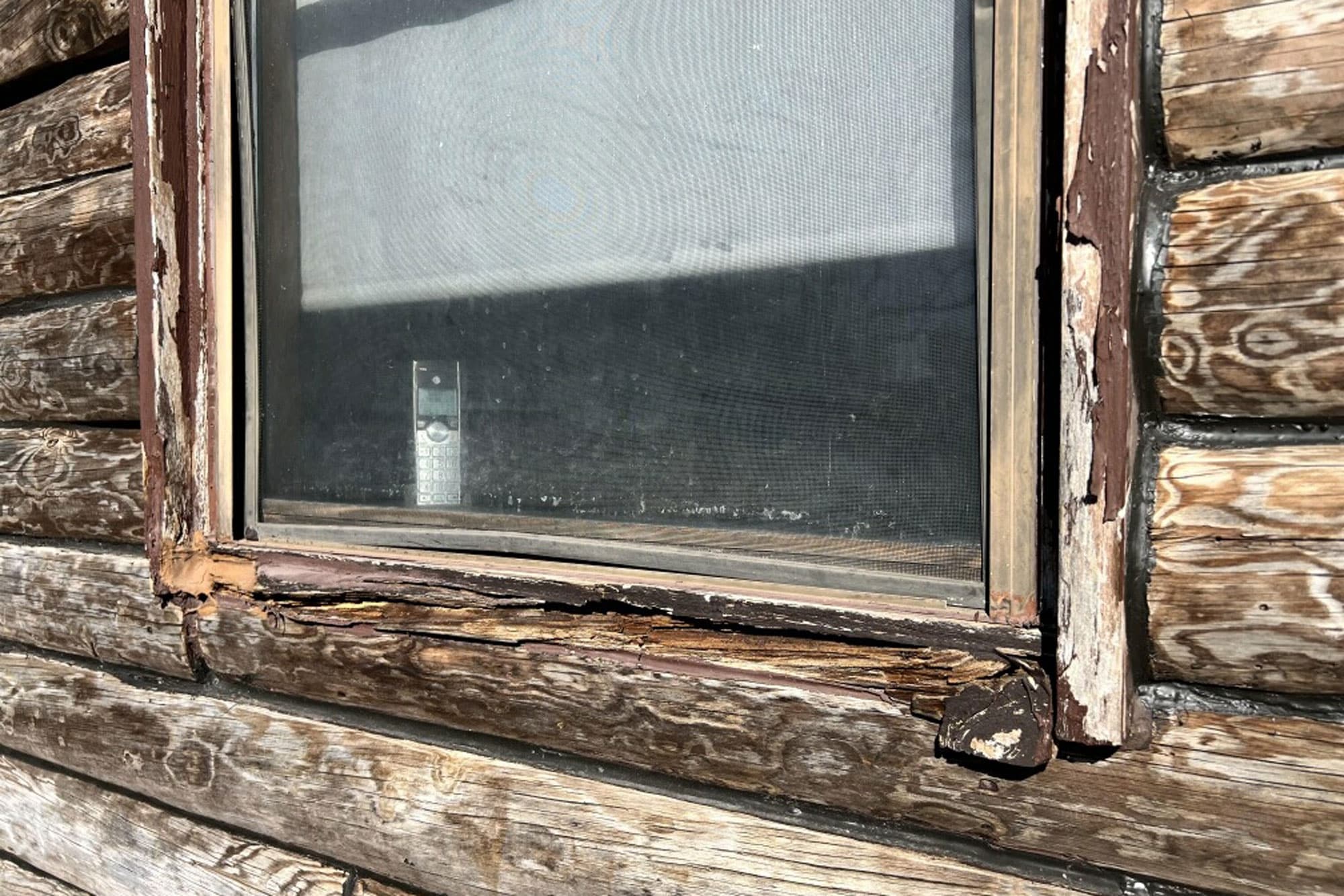 exterior wall/Interior log rot replacement after photo