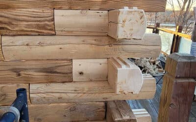 Log Repair vs. Full Log Replacement: How a Pro Decides