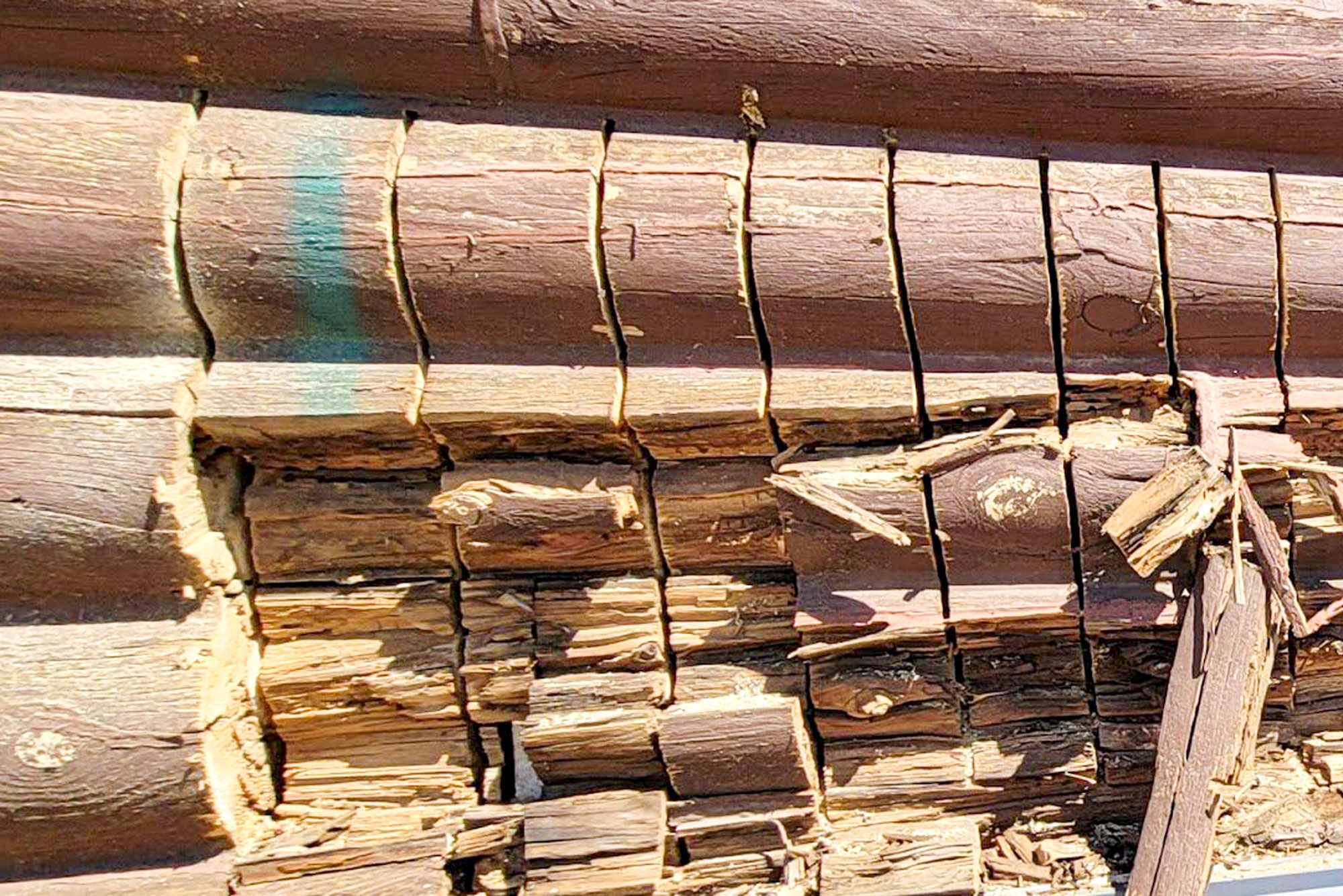 Log Master working on chinking the side of a cabin with tan chinking.
